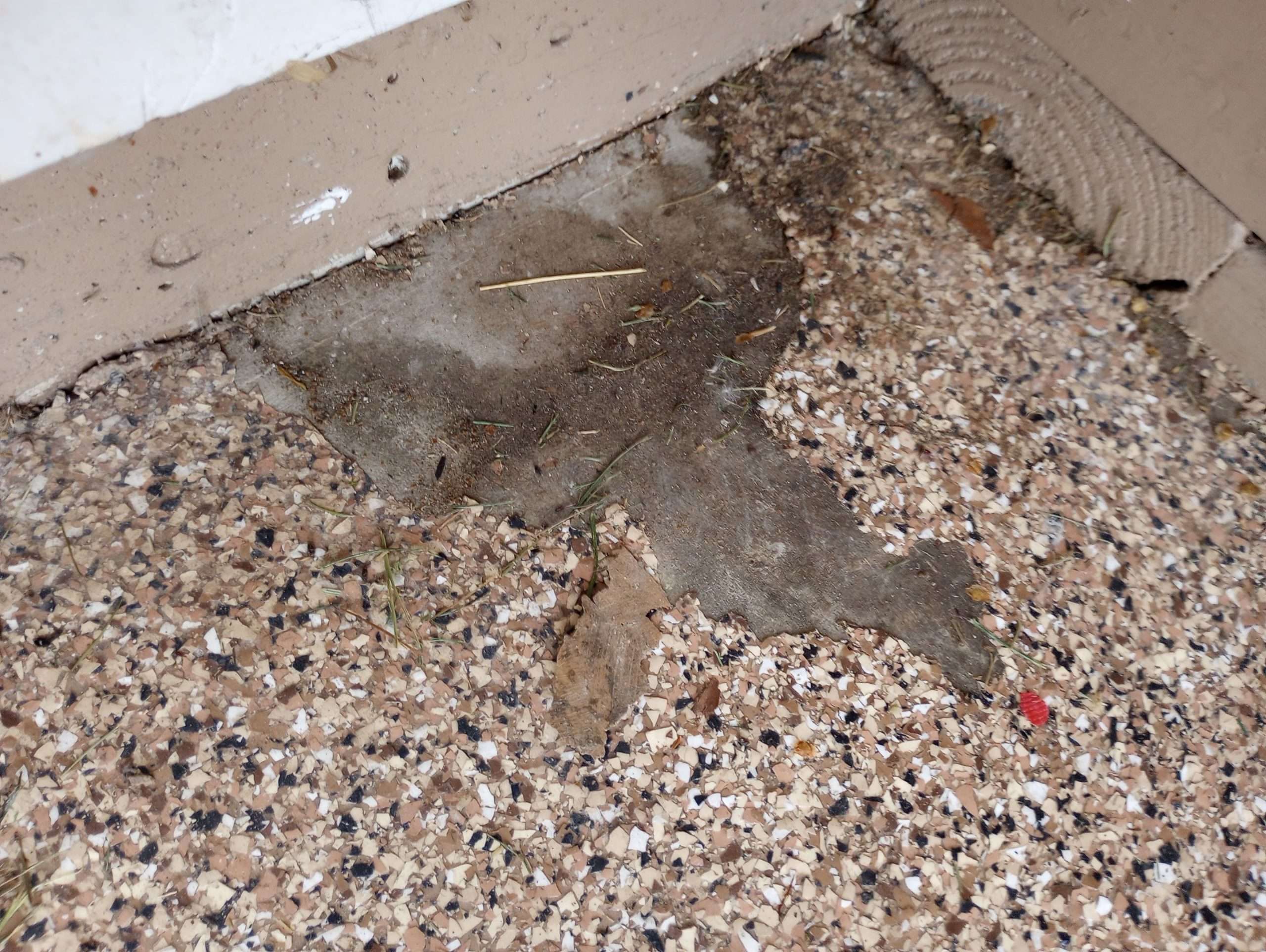 Garage floor that had epoxy coating on it