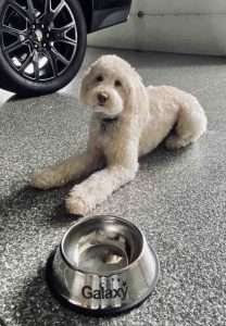 applying polyaspartic coating